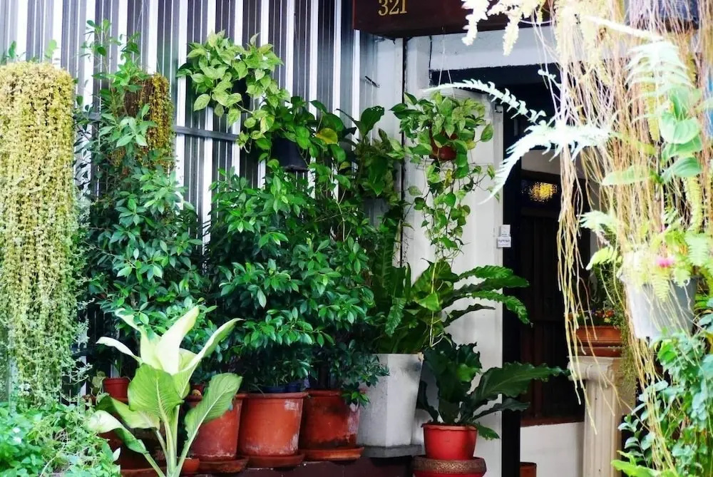 Foto - Lanna Hostel