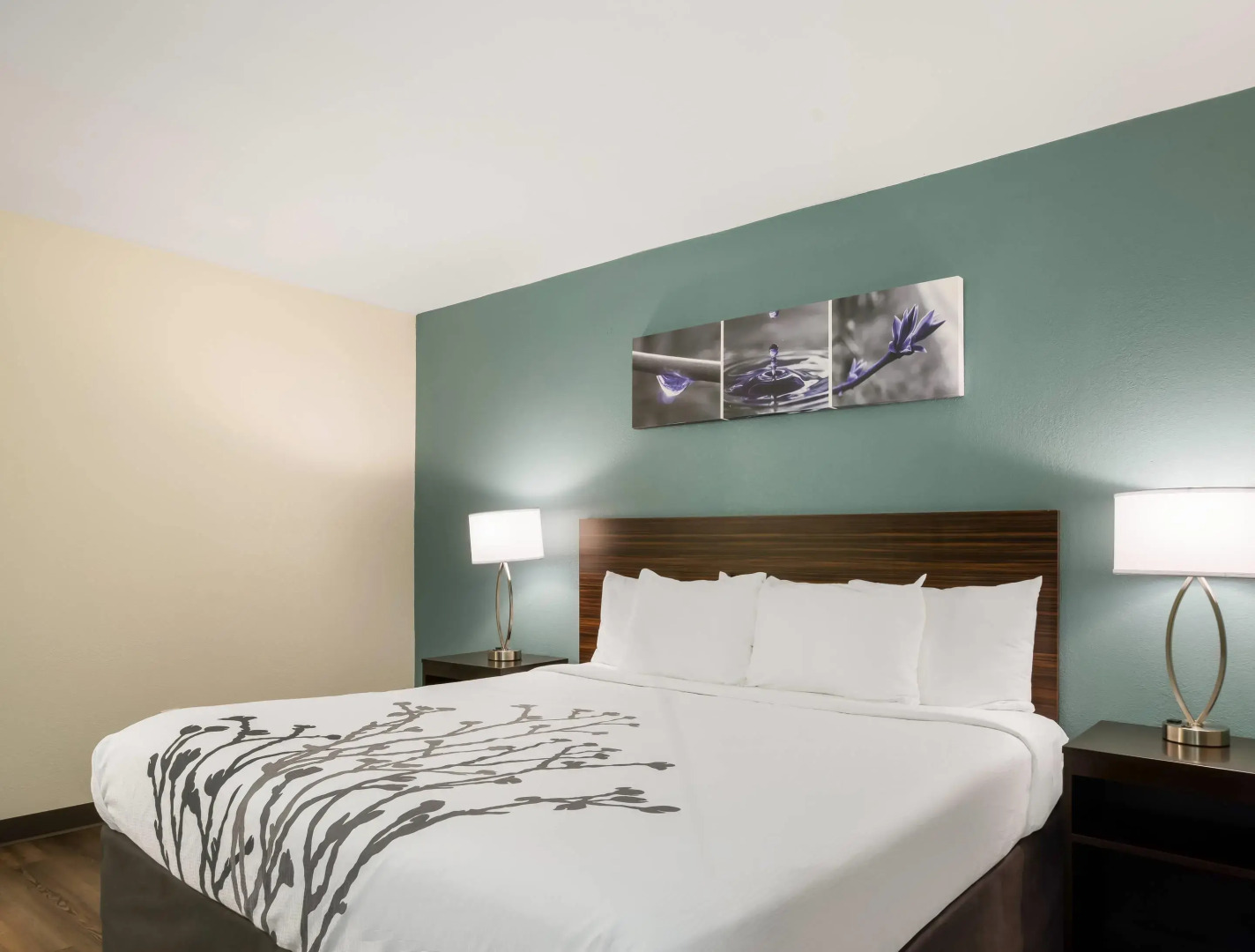 Foto - Sleep Inn Savannah Midtown