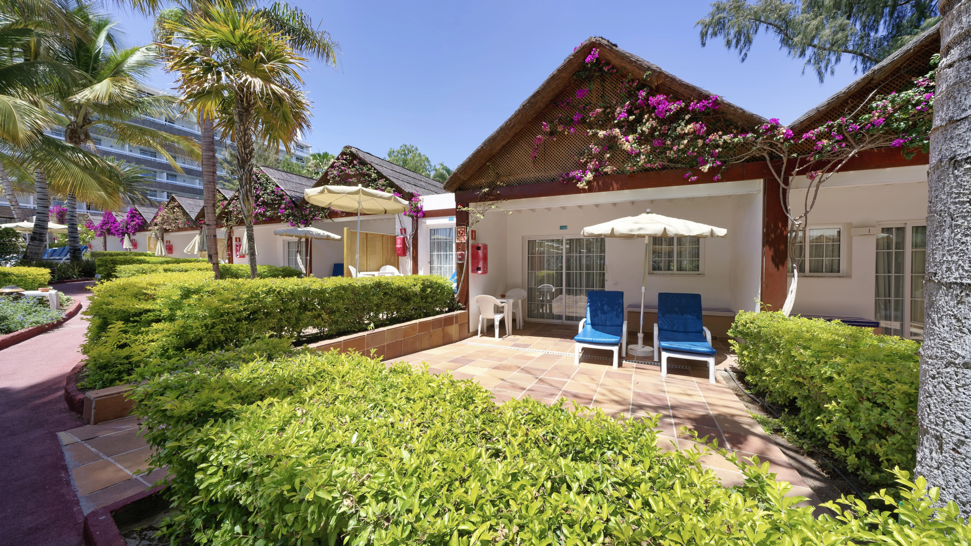Foto - Bull Costa Canaria & Spa - Adults only