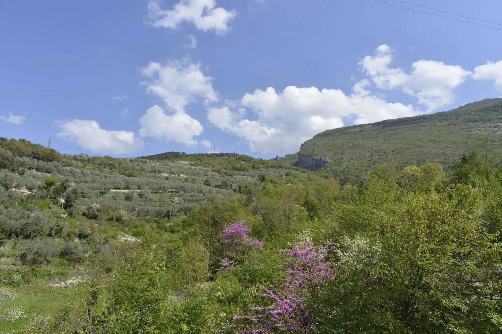 Foto - MySEELE Garda Active Hotel