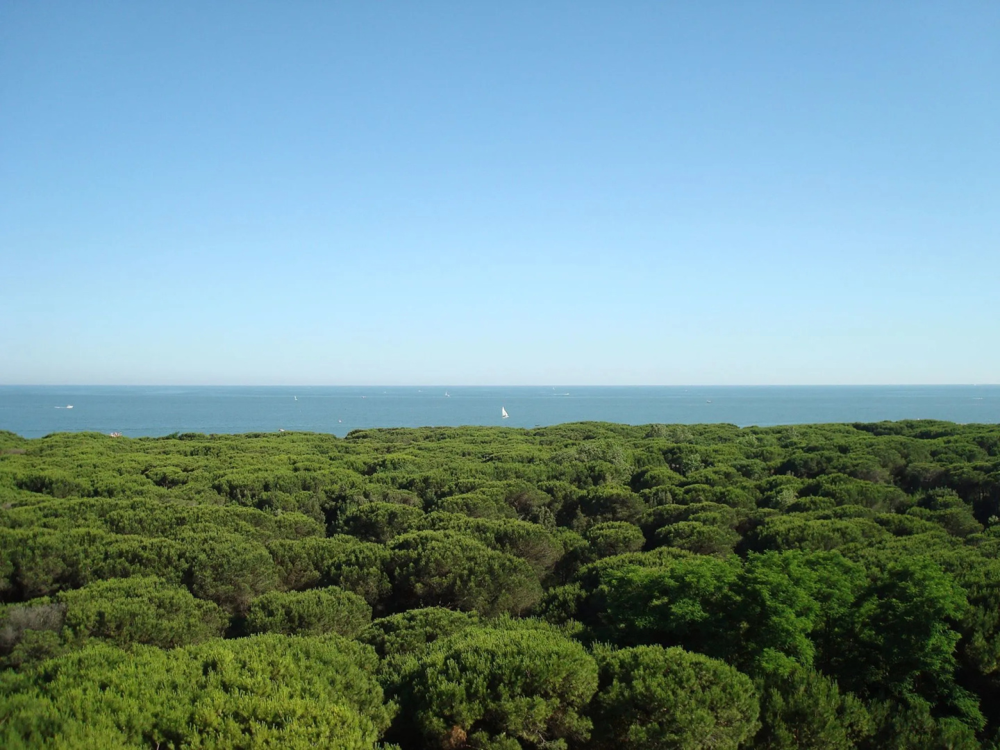 Foto - MarePineta Resort