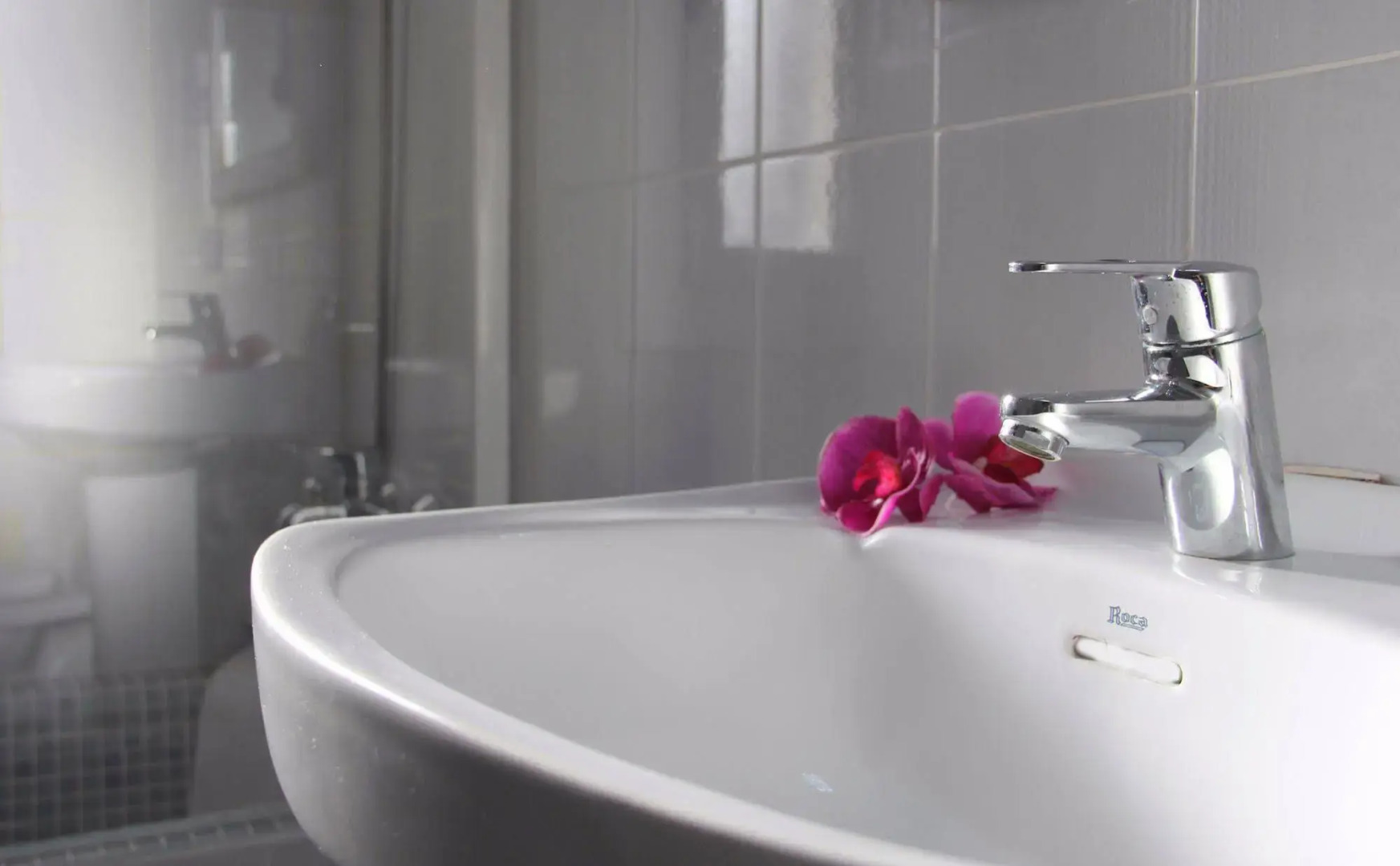 Foto - Apartamentos Royal Life