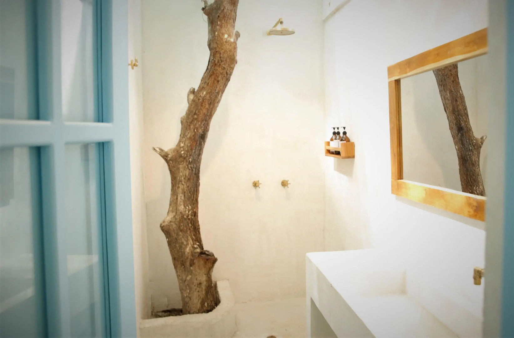 Foto - Hotel Fenix Beach Cartagena