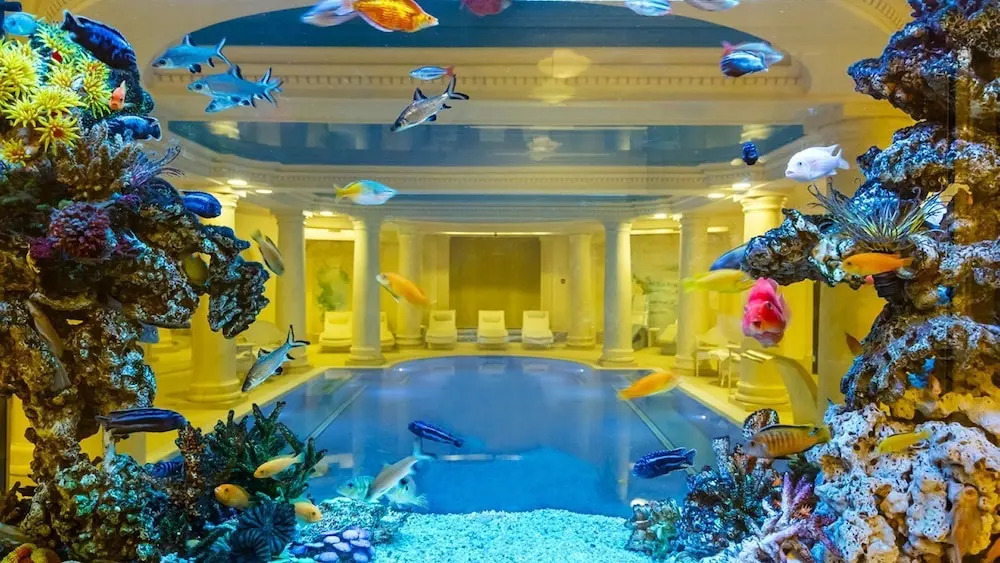 Photo - Pałacyk Otrębusy Business & Spa