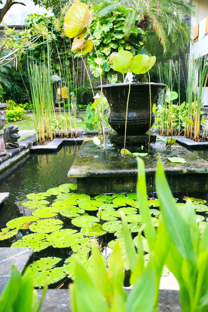 Photo - Legian Paradiso Hotel