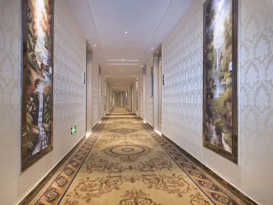 Vienna International Hotel (Bama)