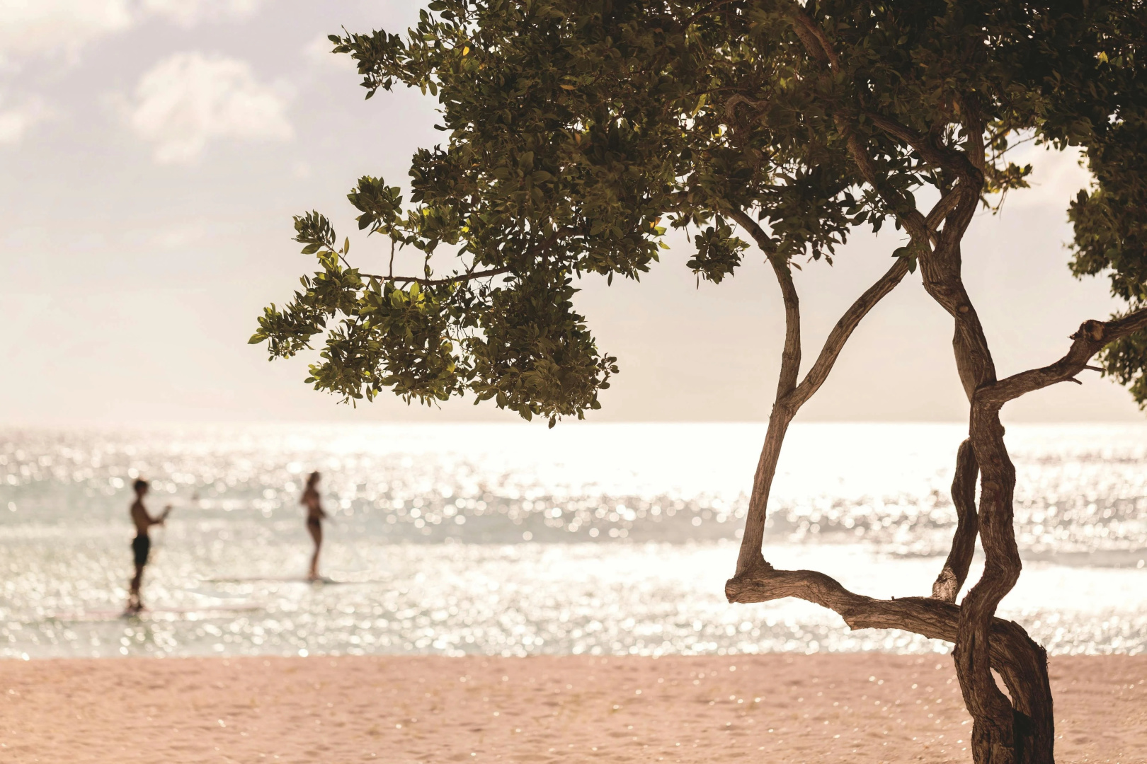 Foto - The Ritz-Carlton, Aruba