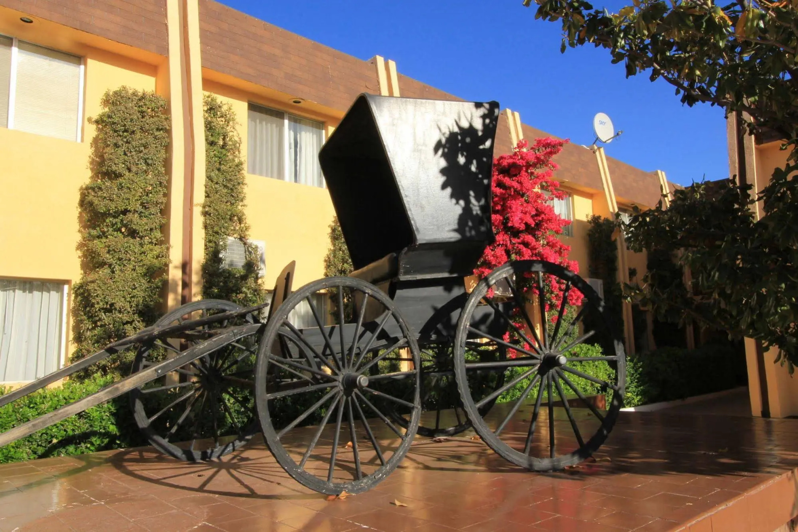Foto - Hotel Sicomoro