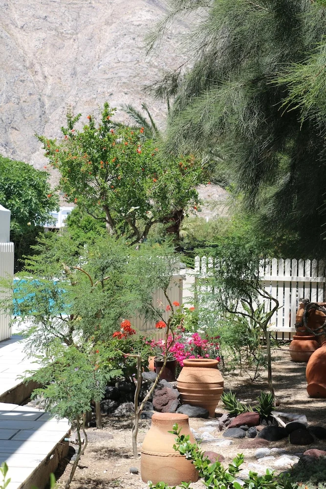 Photo - Spiros & Hiroko Hotel - Adults Only