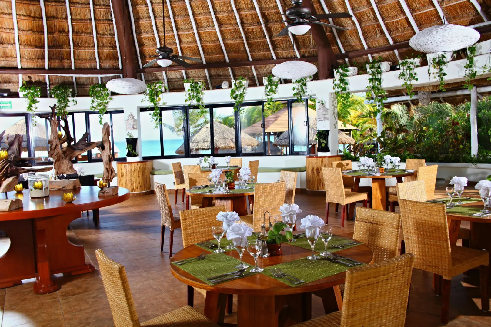 Foto - Sandos Caracol Nature Resort & Water Park All Inclusive