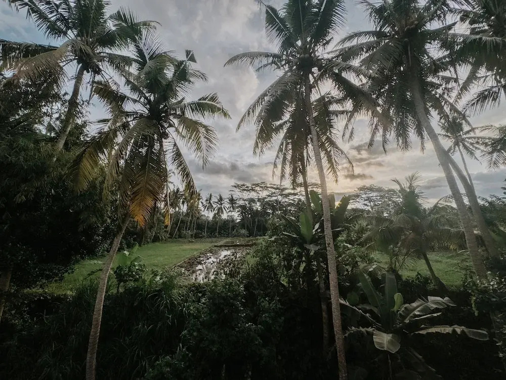 Foto - Uma Lys Villa Ubud