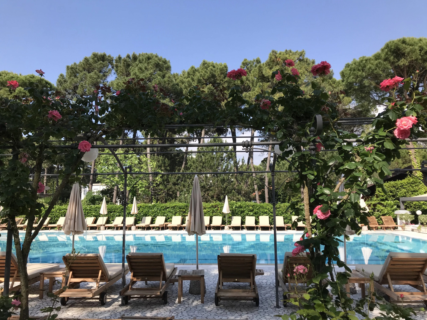 Foto - Hotel Greif