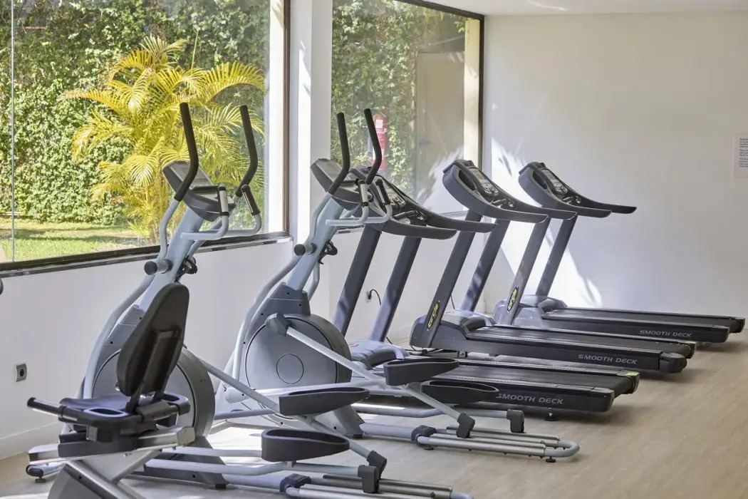 Foto - Zafiro Rey Don Jaime