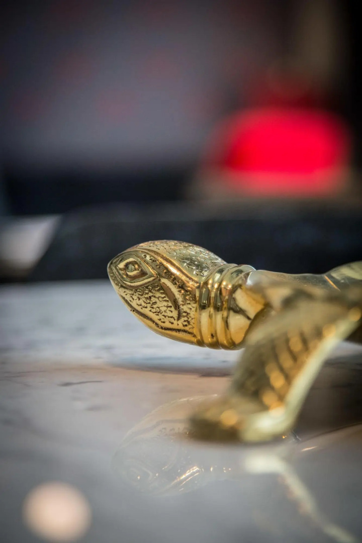 Photo - TORTUE Hamburg