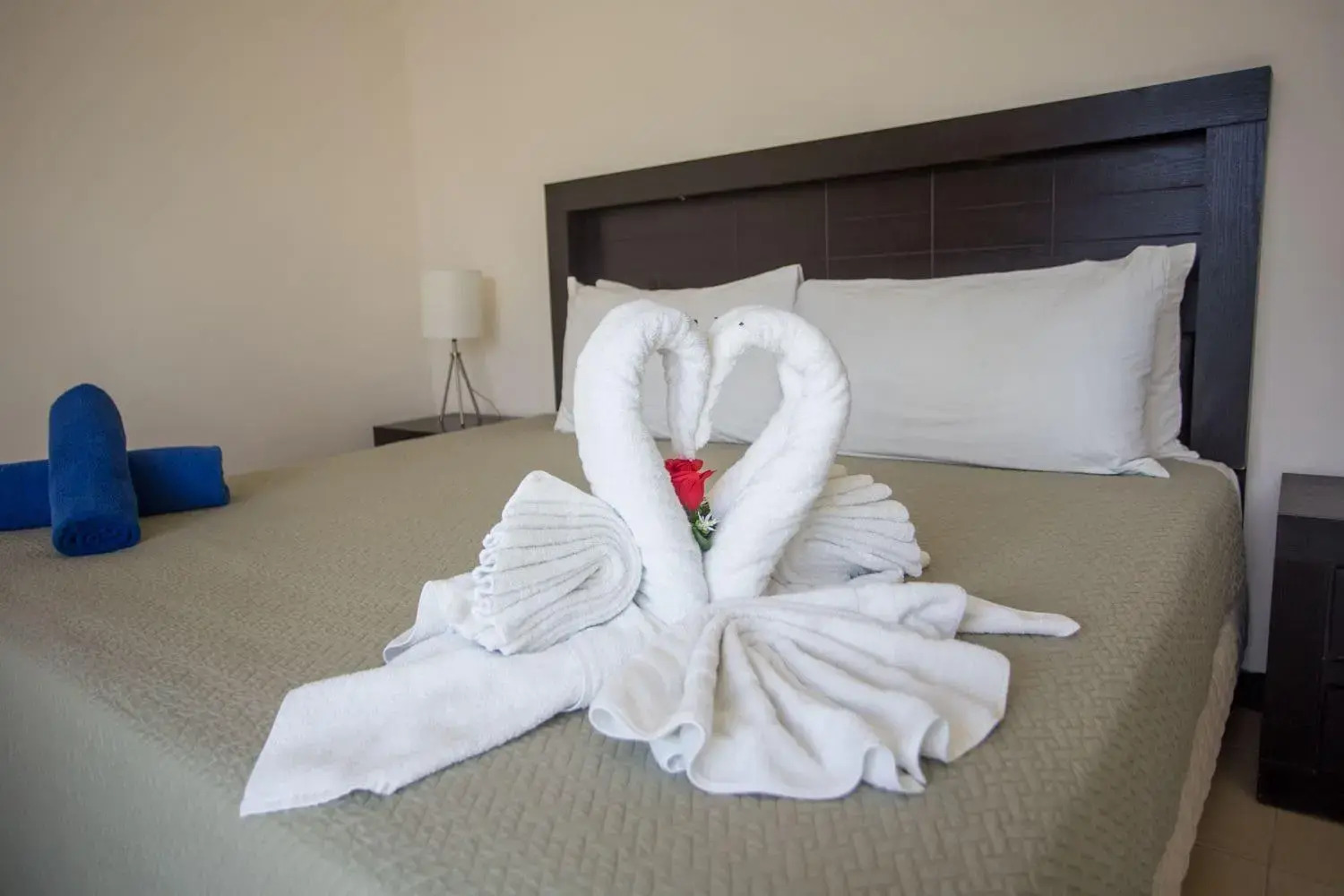 Foto - San Pedro Hotel, 5ta Avenida