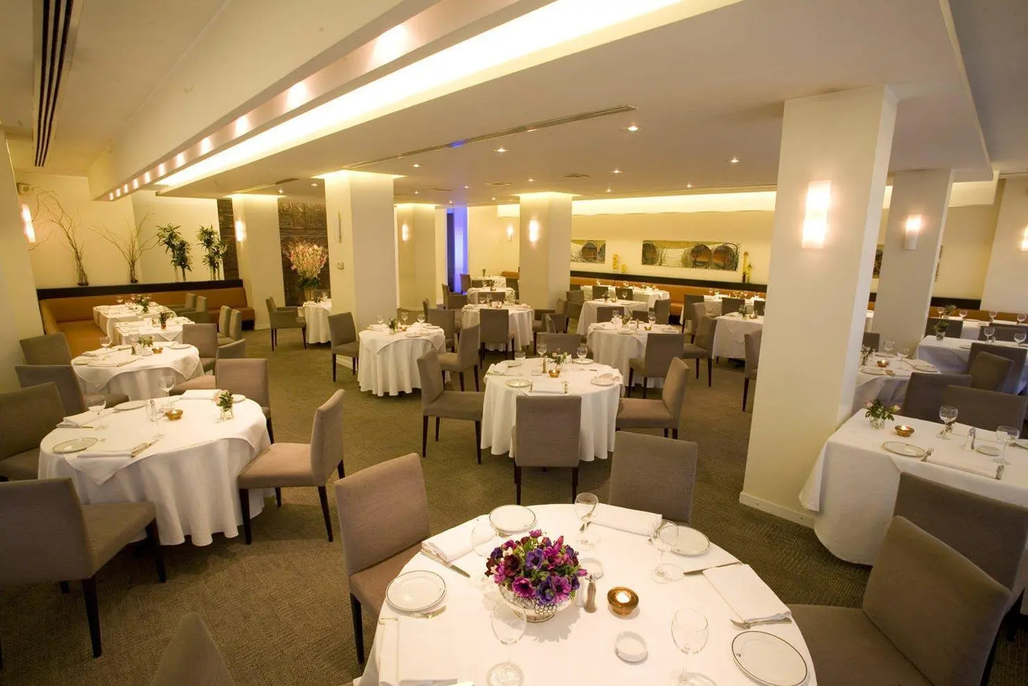 Foto - Kalyon Hotel Istanbul