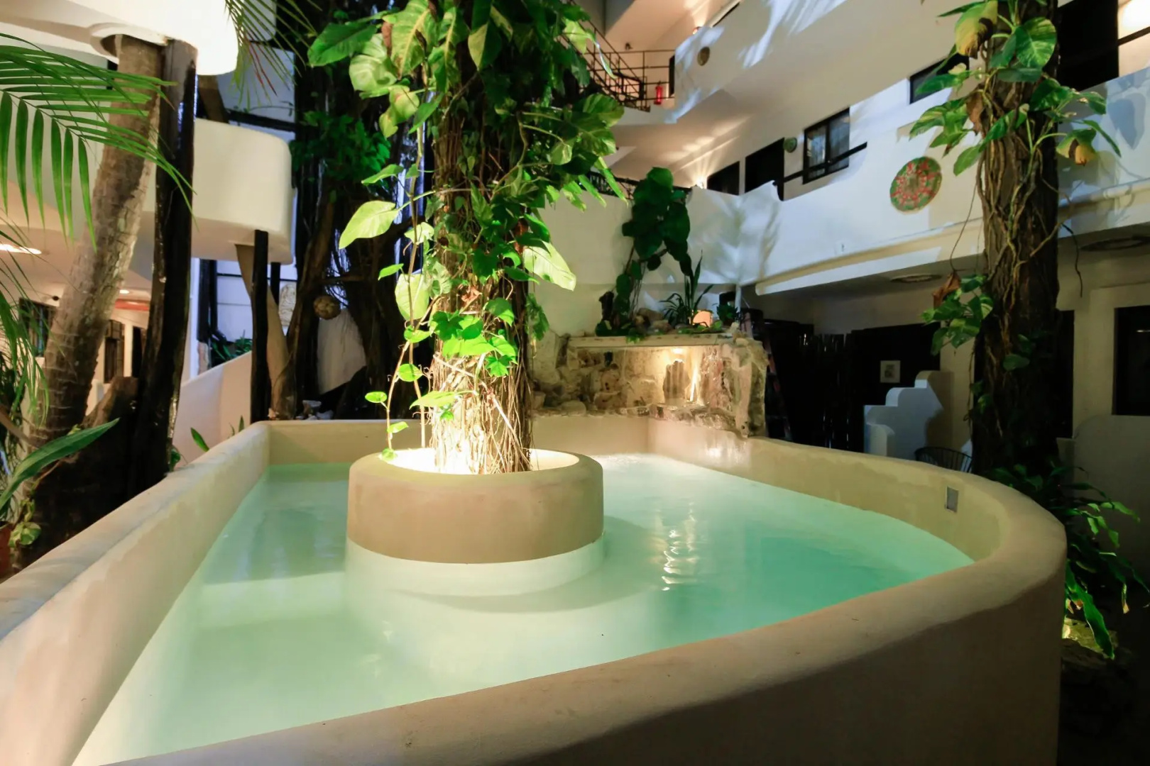 Foto - Moonshine Hotel