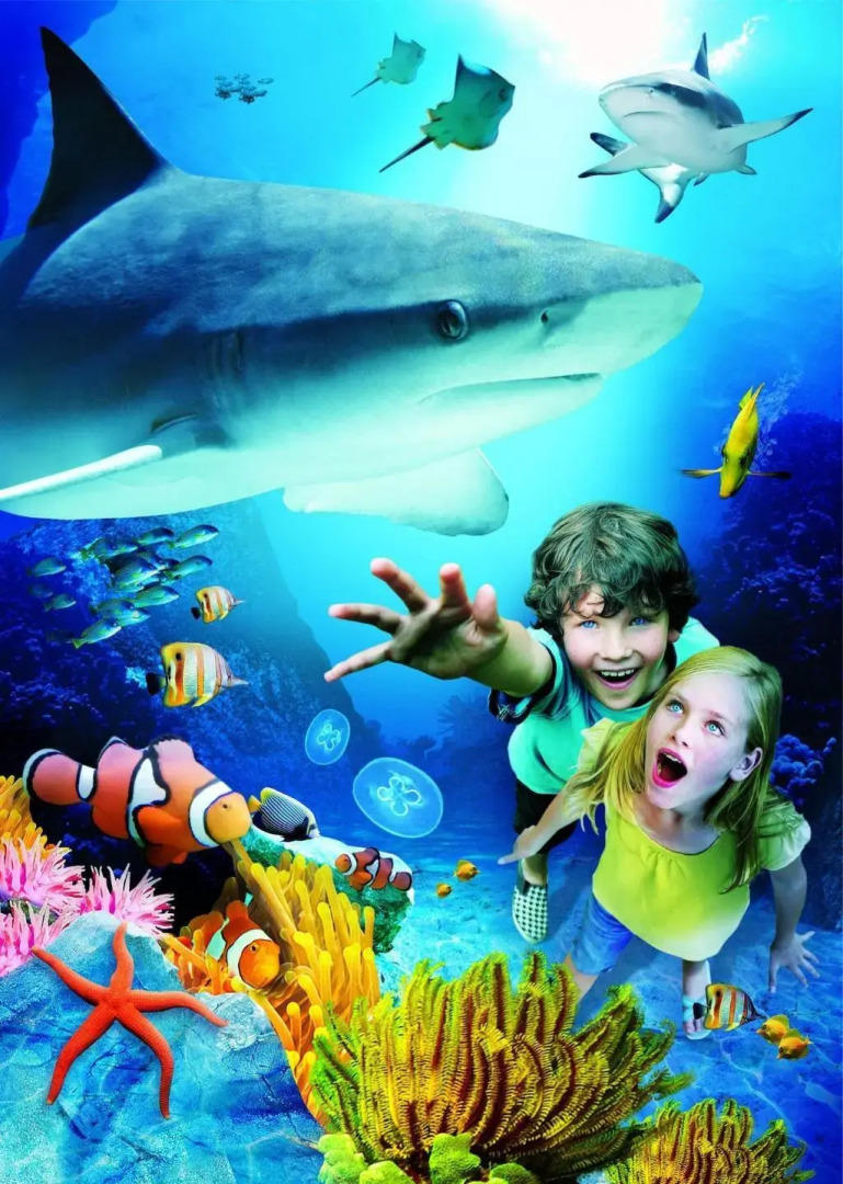 Foto - Grand Pacific Palisades Resort