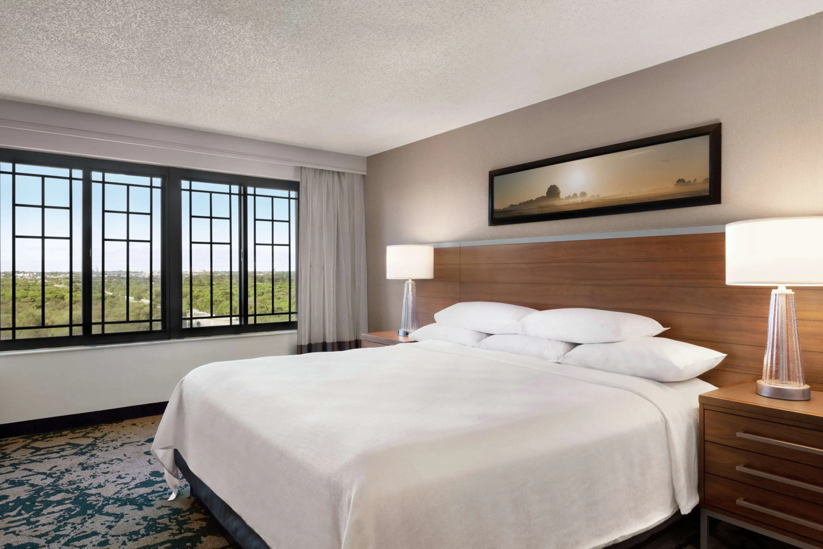 Foto - Embassy Suites Dallas - DFW Airport North