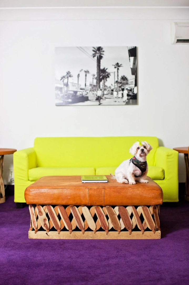 Foto - The Saguaro Palm Springs