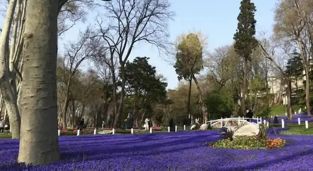 Foto - Best Town Hotel