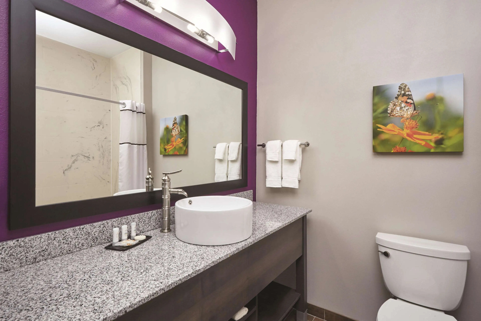 Photo - La Quinta Inn & Suites by Wyndham Springfield IL