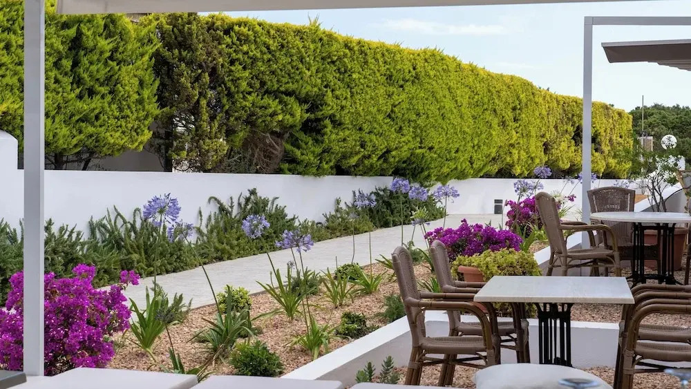 Foto - Hotel Rosamar - Emar Hotels