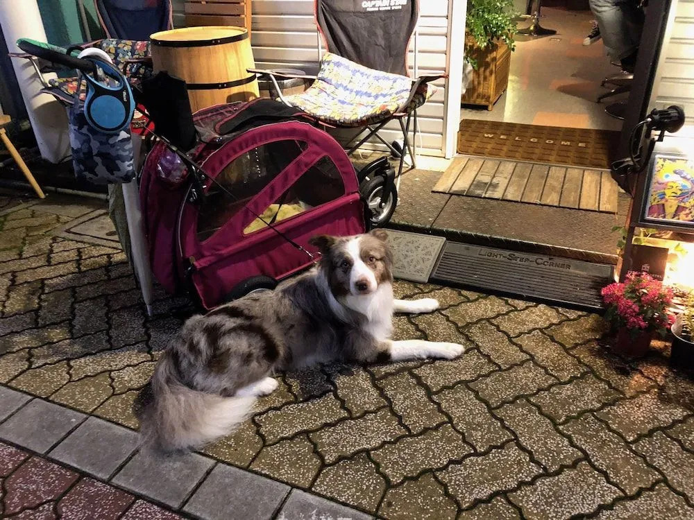 Photo - TOP EDGE HOSTEL Koenji