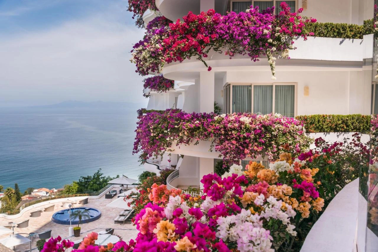 Photo - Grand Miramar All Luxury Suites & Residences