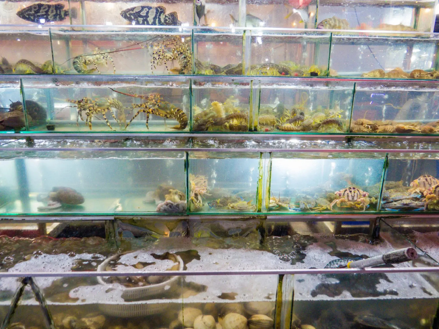 Foto - Nipola Hotel - Chợ Đêm Dương Đông Phú Quốc