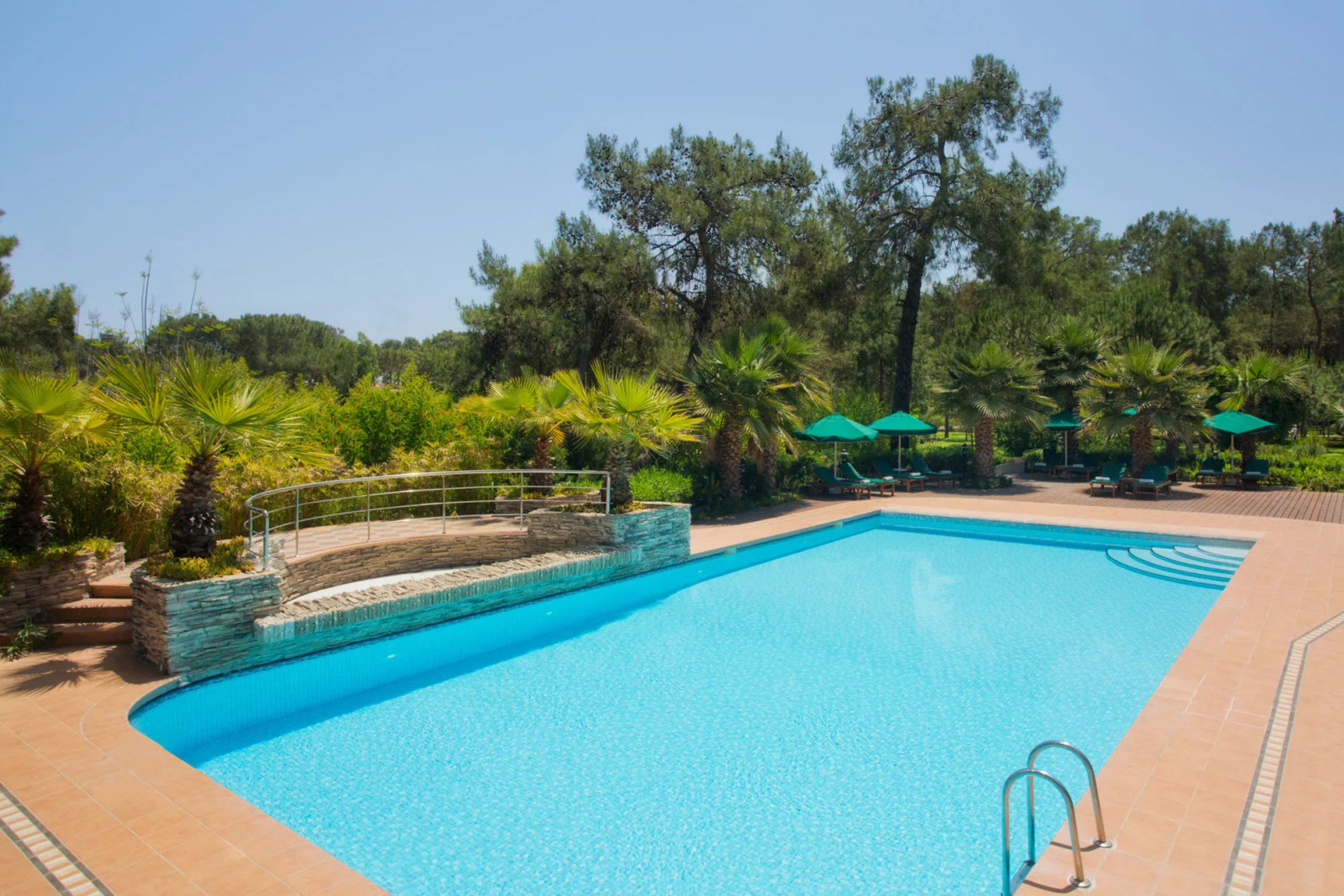 Photo - Balmy Foresta