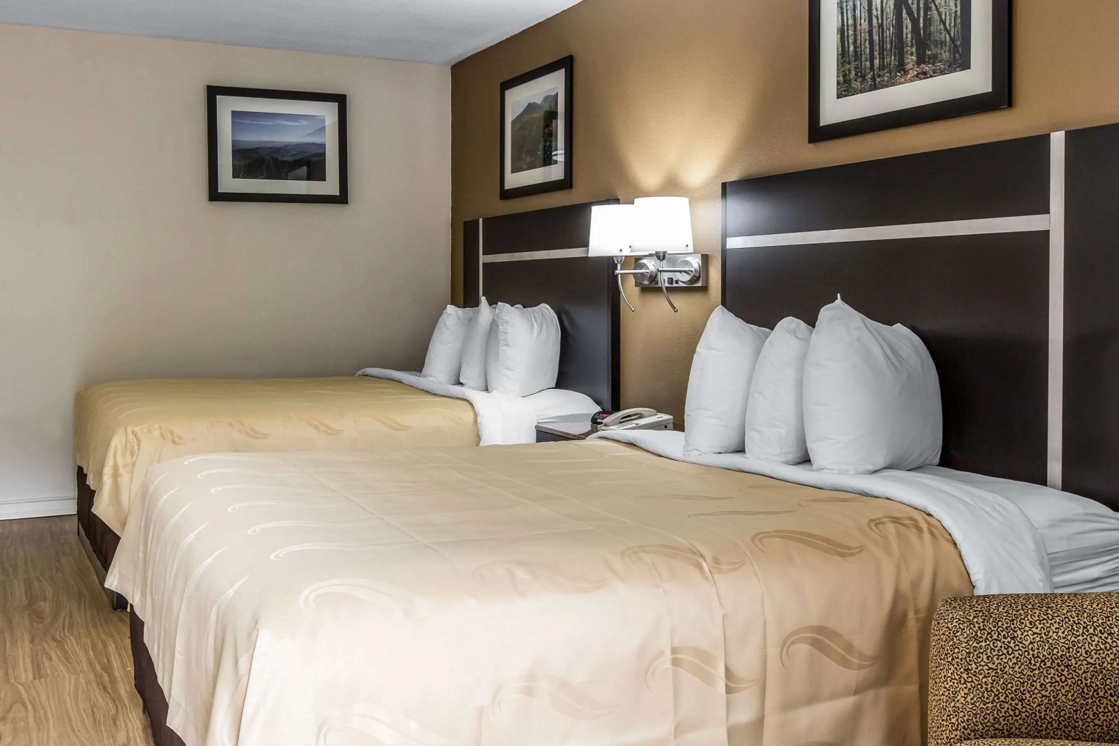 Photo - Quality Inn & Suites Gatlinburg North