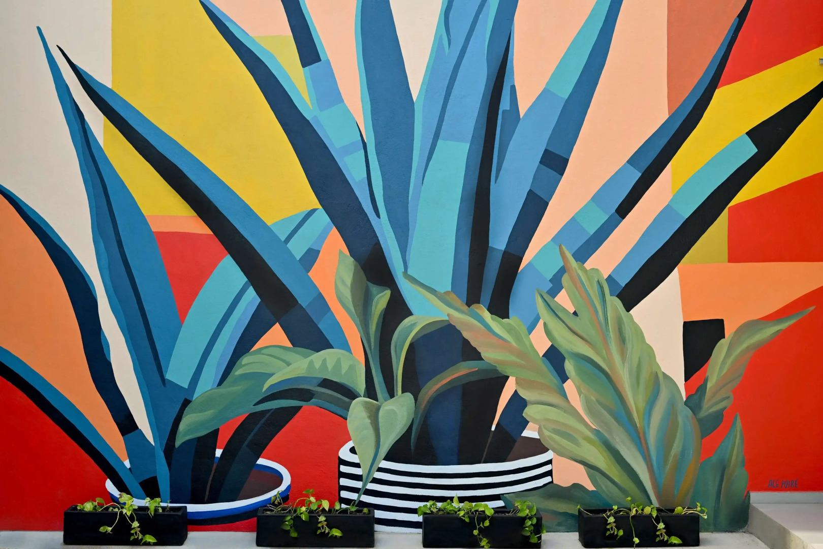 Photo - Vista Express Guadalajara Expo SureStay Collection by BW