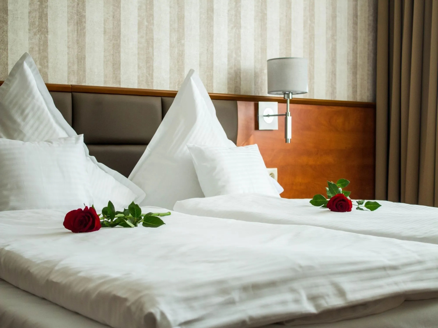 Foto - Business Hotel Vega