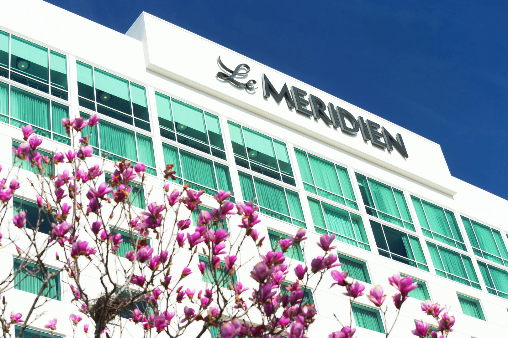 Photo - Le Meridien Atlanta Perimeter by Marriott