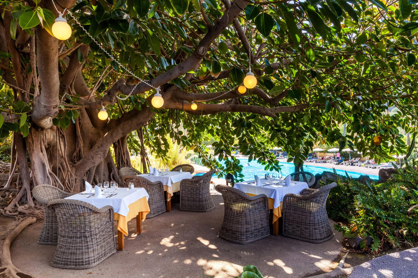 Foto - Hacienda San Jorge