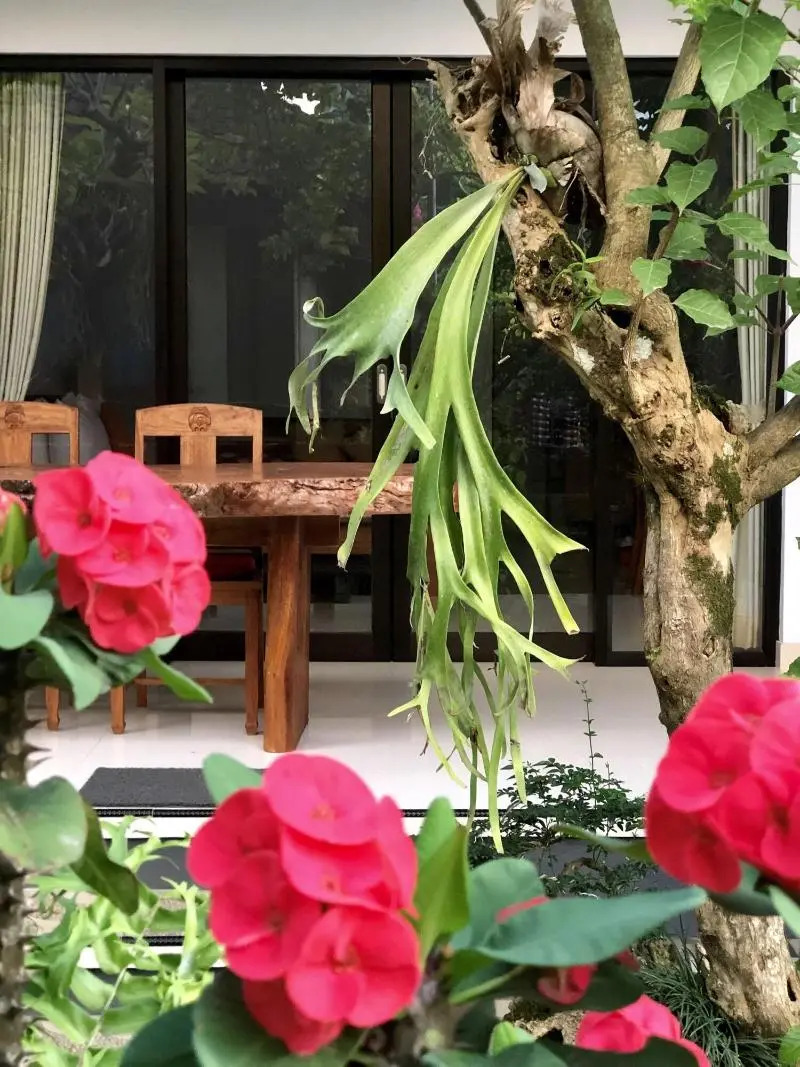 Foto - The Hidden Bali Inn