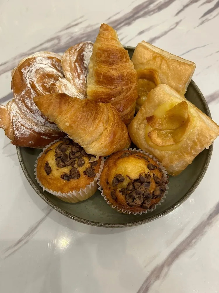 Photo - Dog Admiral - Urban Guest House