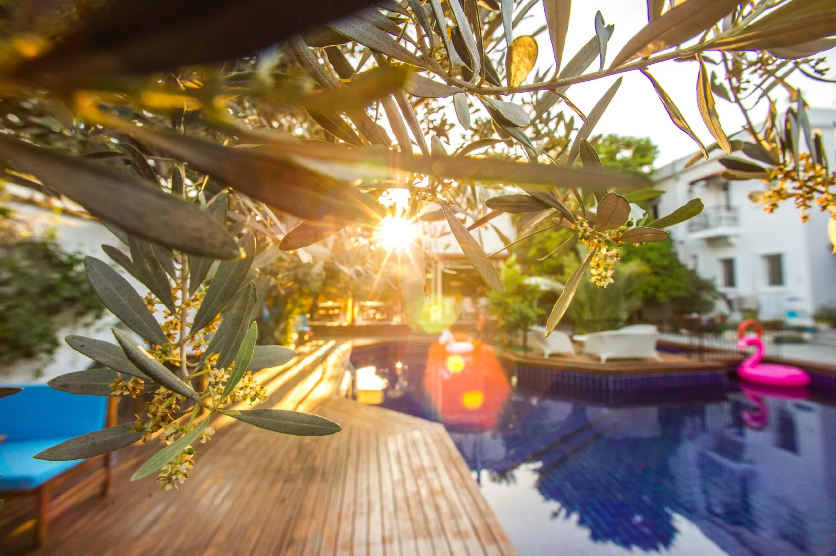 Photo - Hotel Centro Bodrum