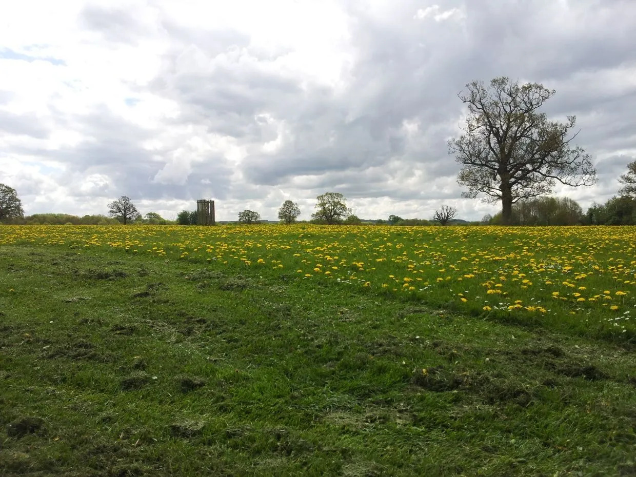 Foto - Schoolhouse Hotel