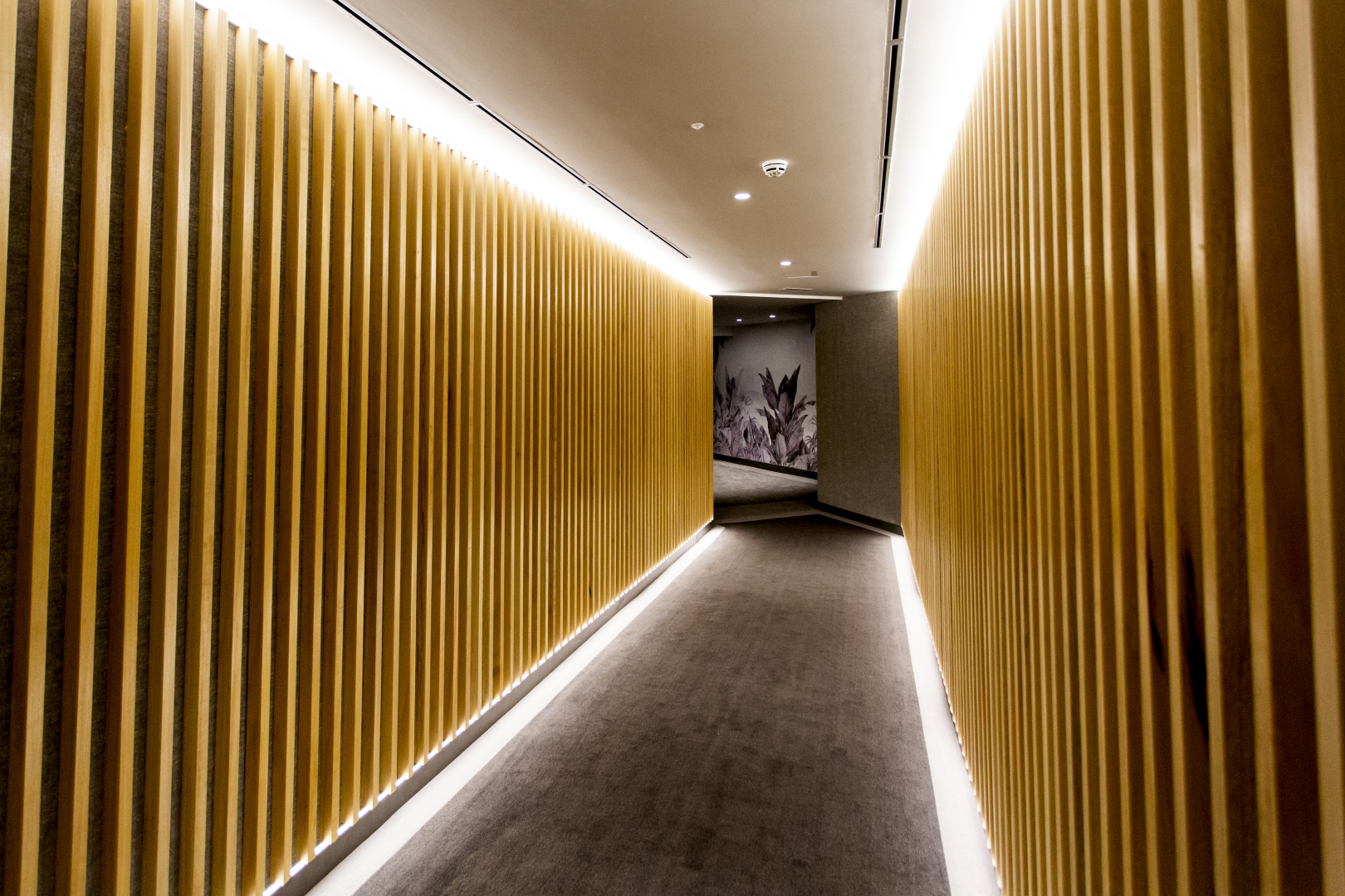 Foto - Hotel Pax Guadalajara