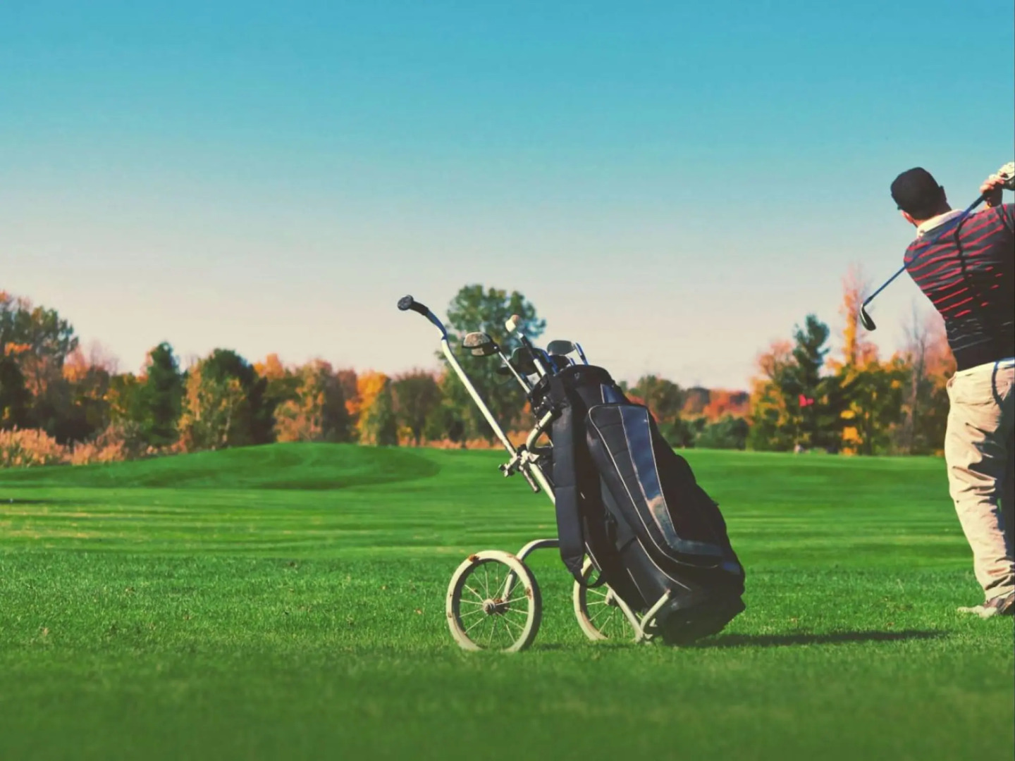 Photo - Whangaparaoa Lodge