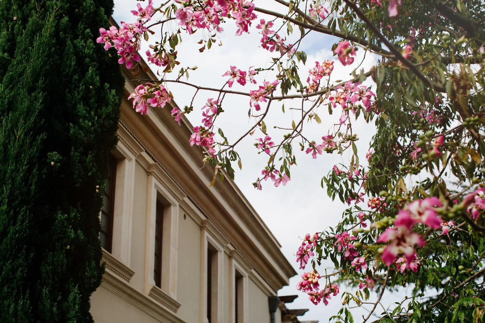 Photo - The Ashbee Hotel - The Leading Hotels of the World