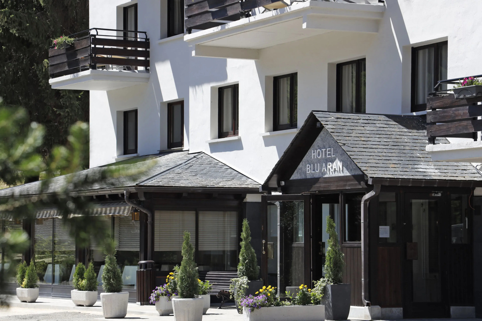 Photo - Hotel Blu Aran