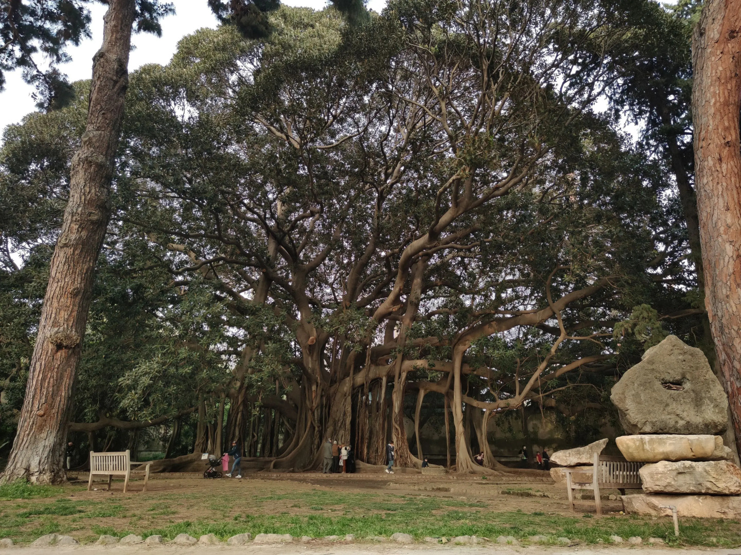 Photo - 120 Rodionoff B&B - connection with Airport and Mondello Beach