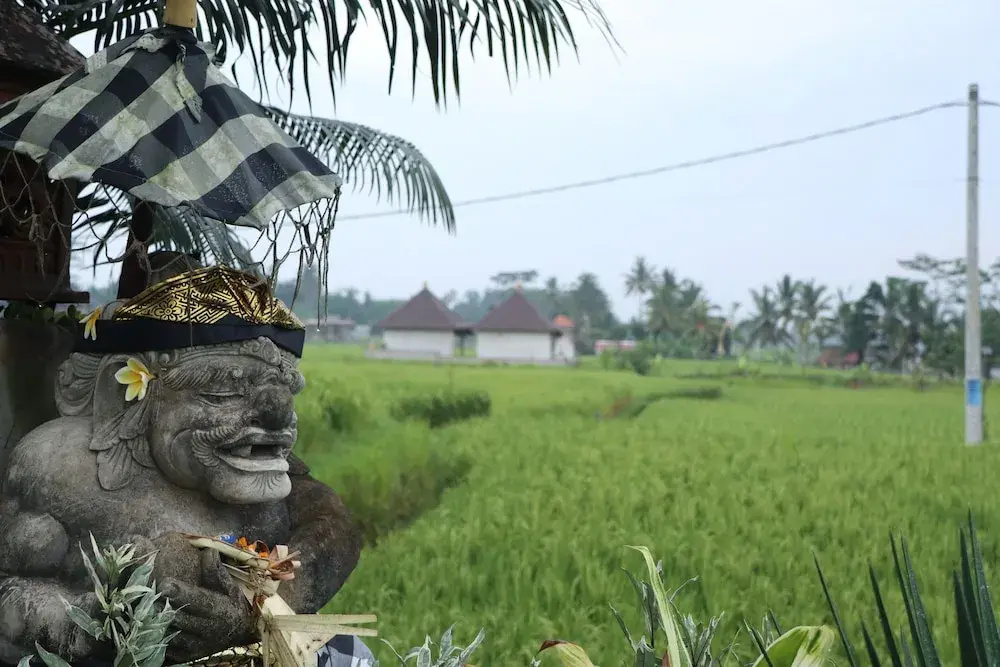 Foto - Royal JJ Ubud Resort & Spa