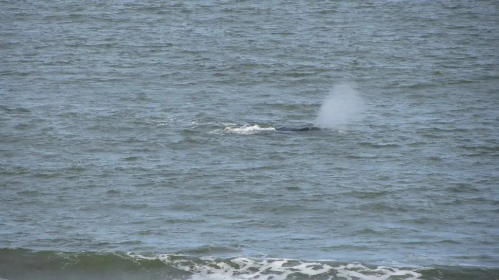 Foto - BDA Hotel & Spa