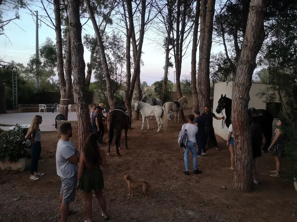 Foto - Village Camping Fico D'India