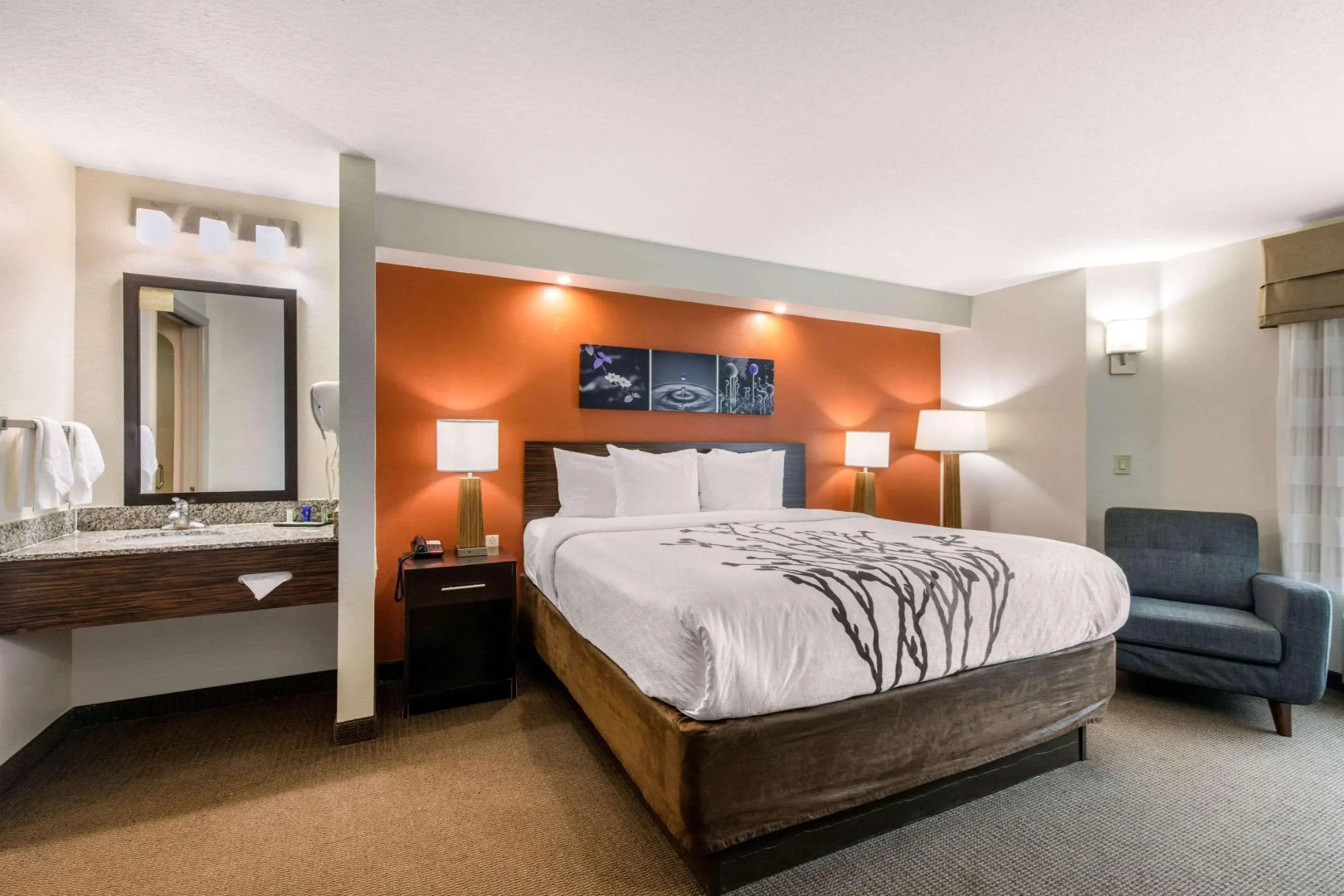 Foto - Sleep Inn Clearwater-St Petersburg