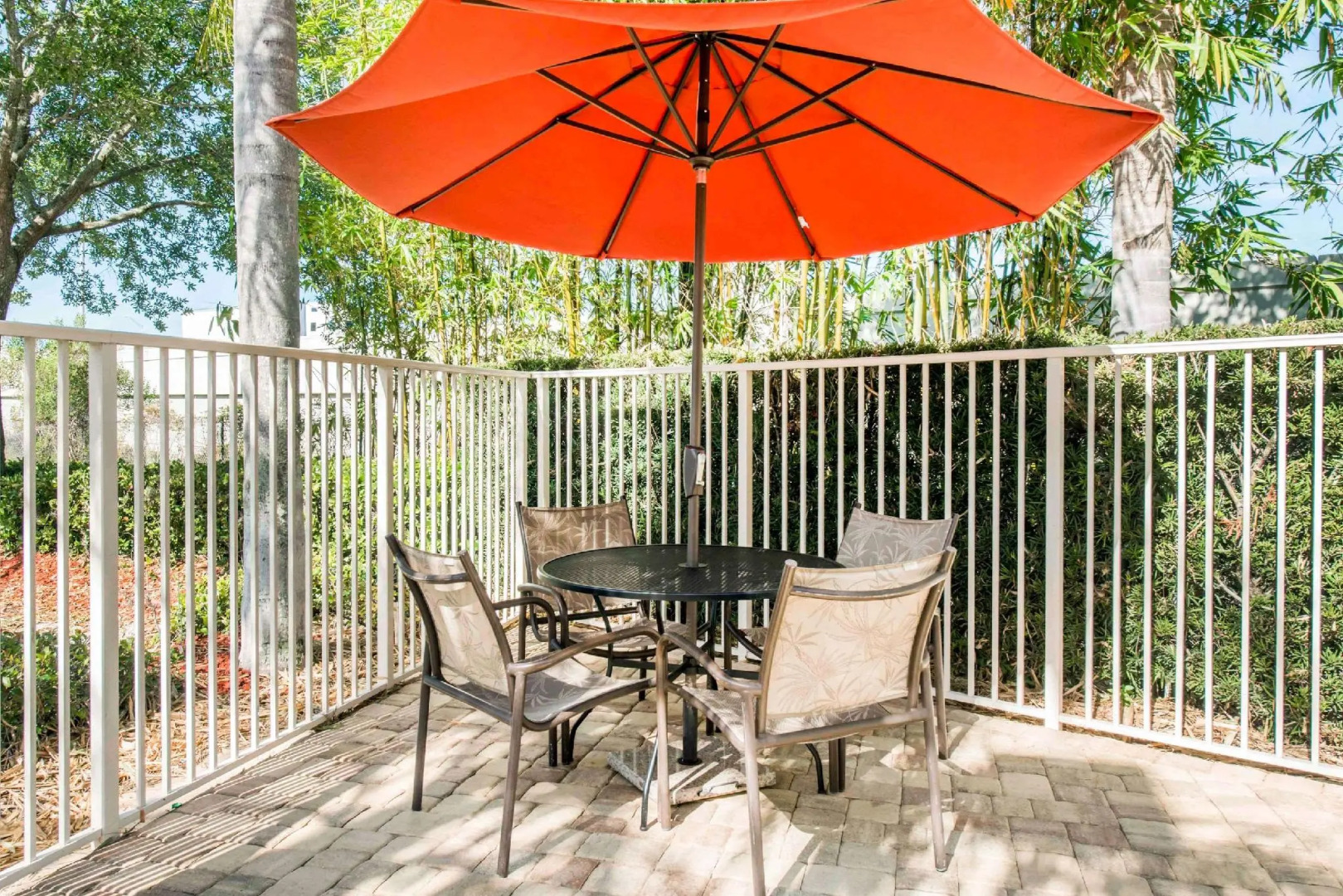 Foto - Comfort Inn & Suites Orlando North